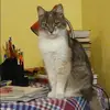 Отзыв от Альфия Колесникова